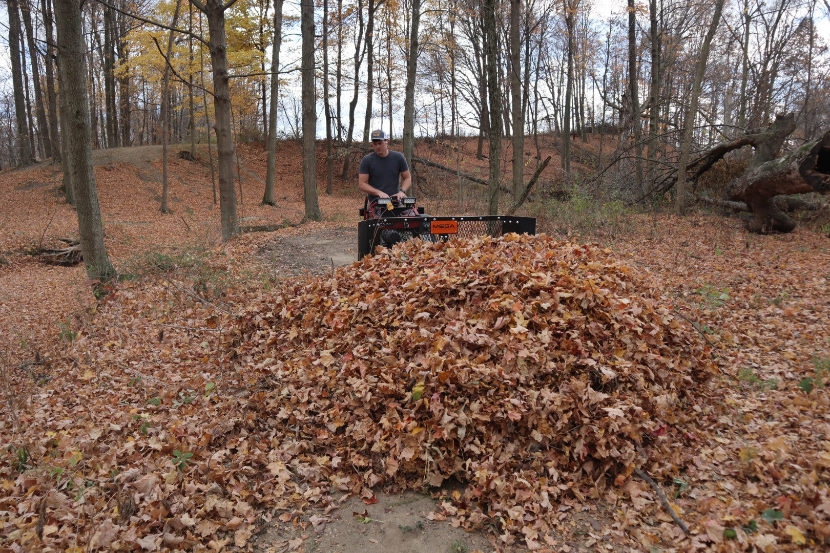 Fall Is Coming: Get Ready with the Mega Leaf Plow